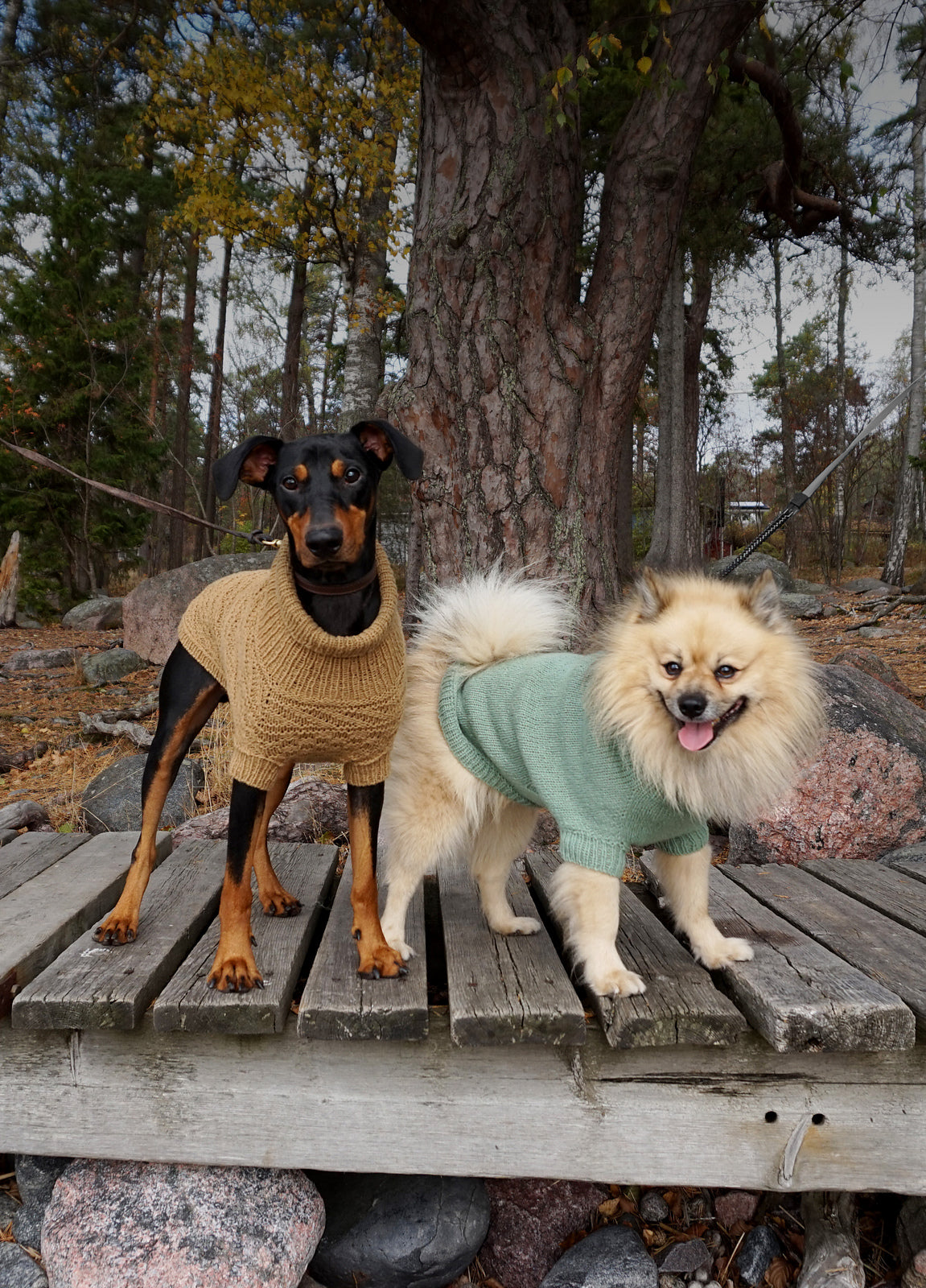 Alvar dog sweater