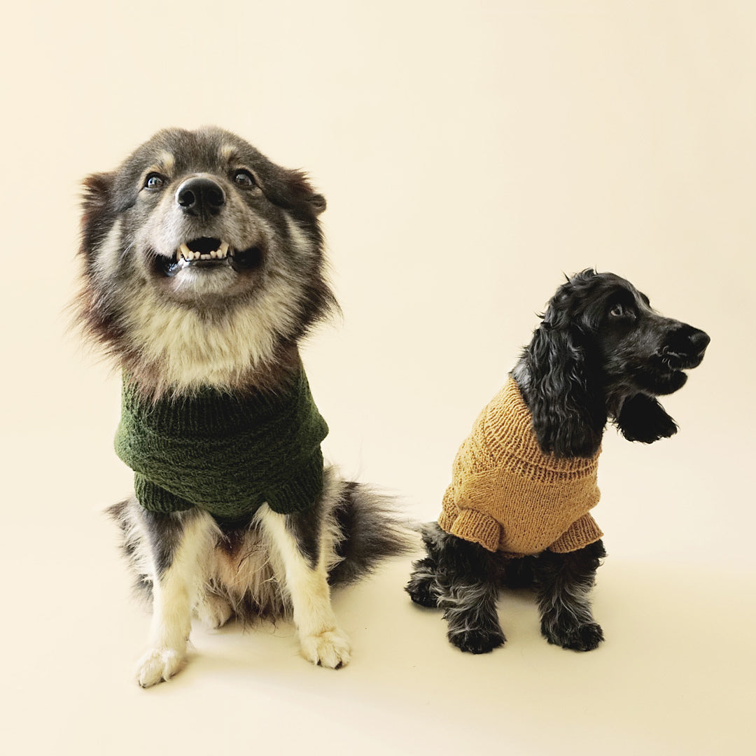 Alvar dog sweater