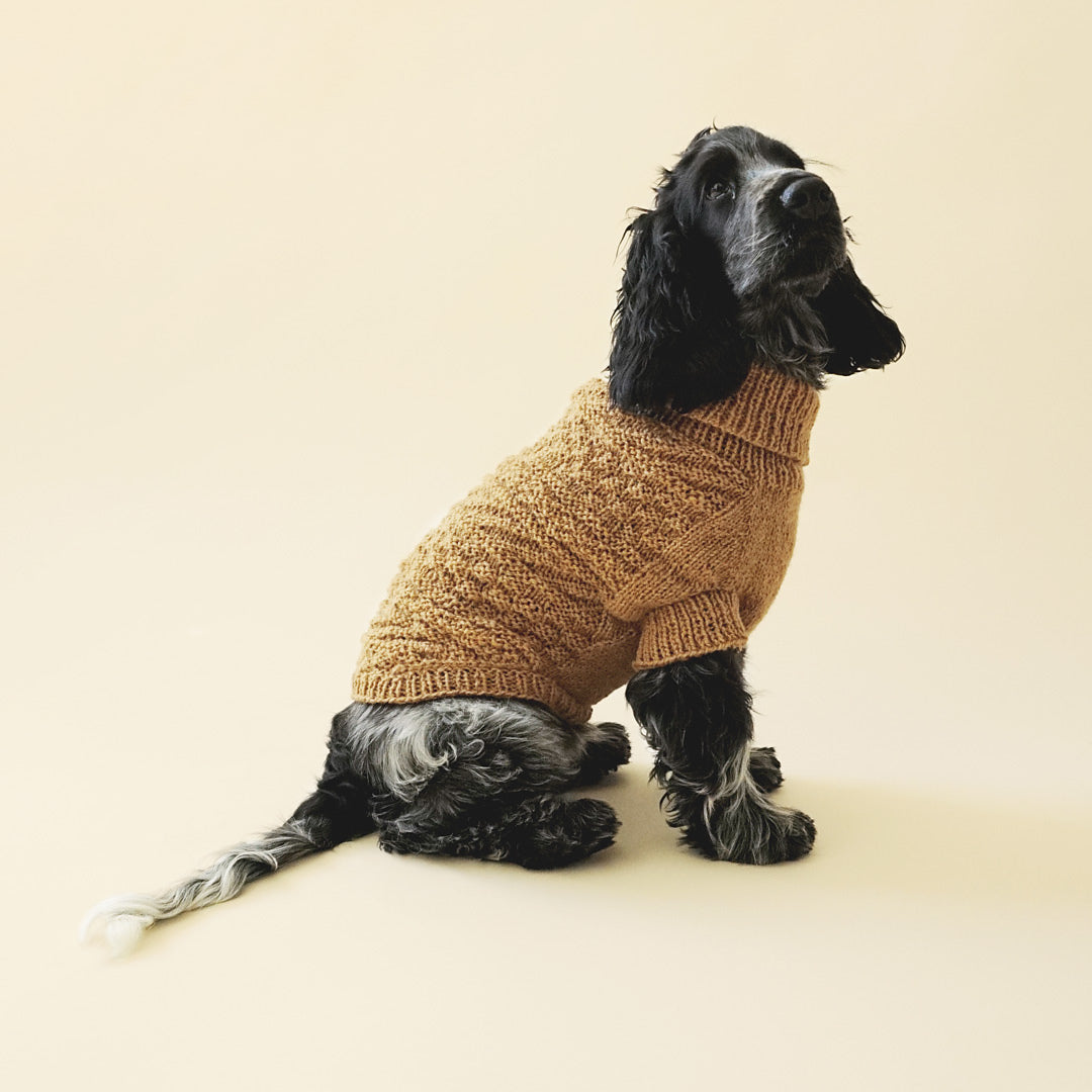 Alvar dog sweater
