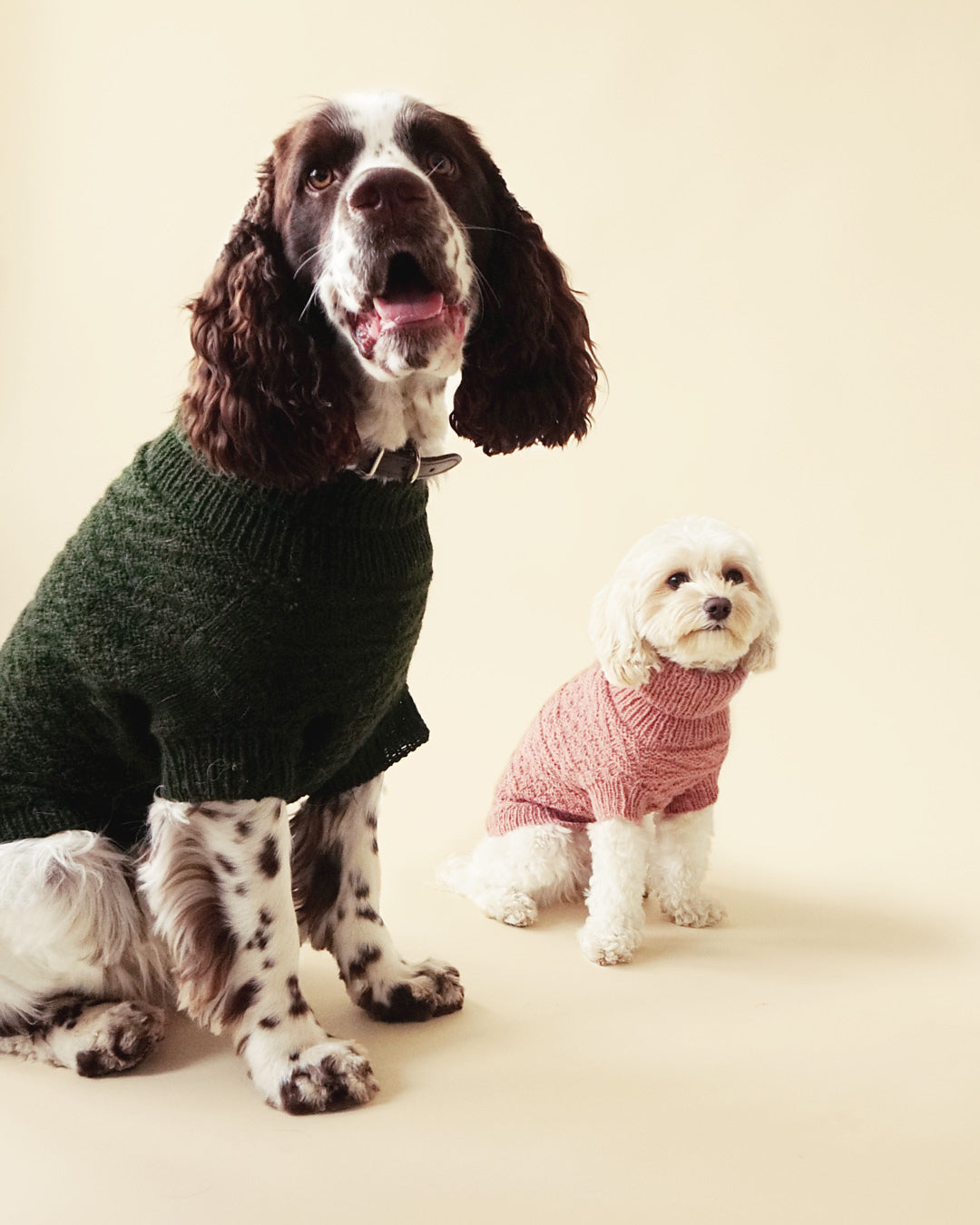 Alvar dog sweater