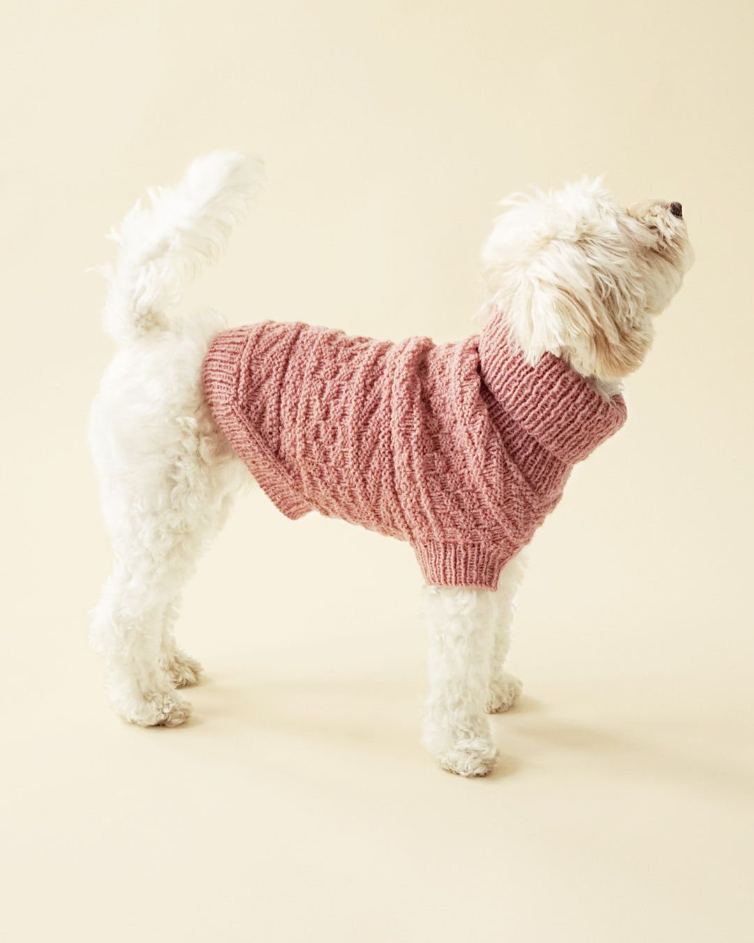 Alvar dog sweater