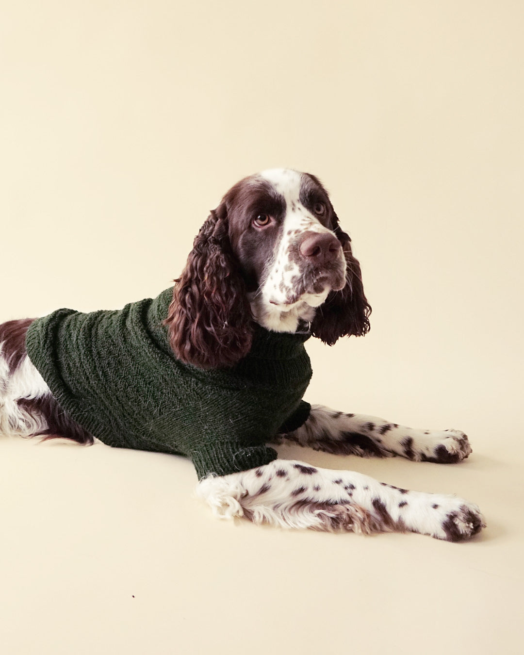 Alvar dog sweater