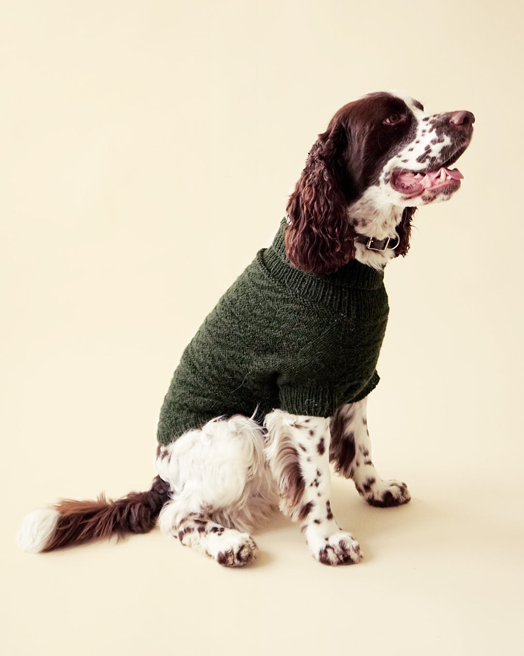 Alvar dog sweater