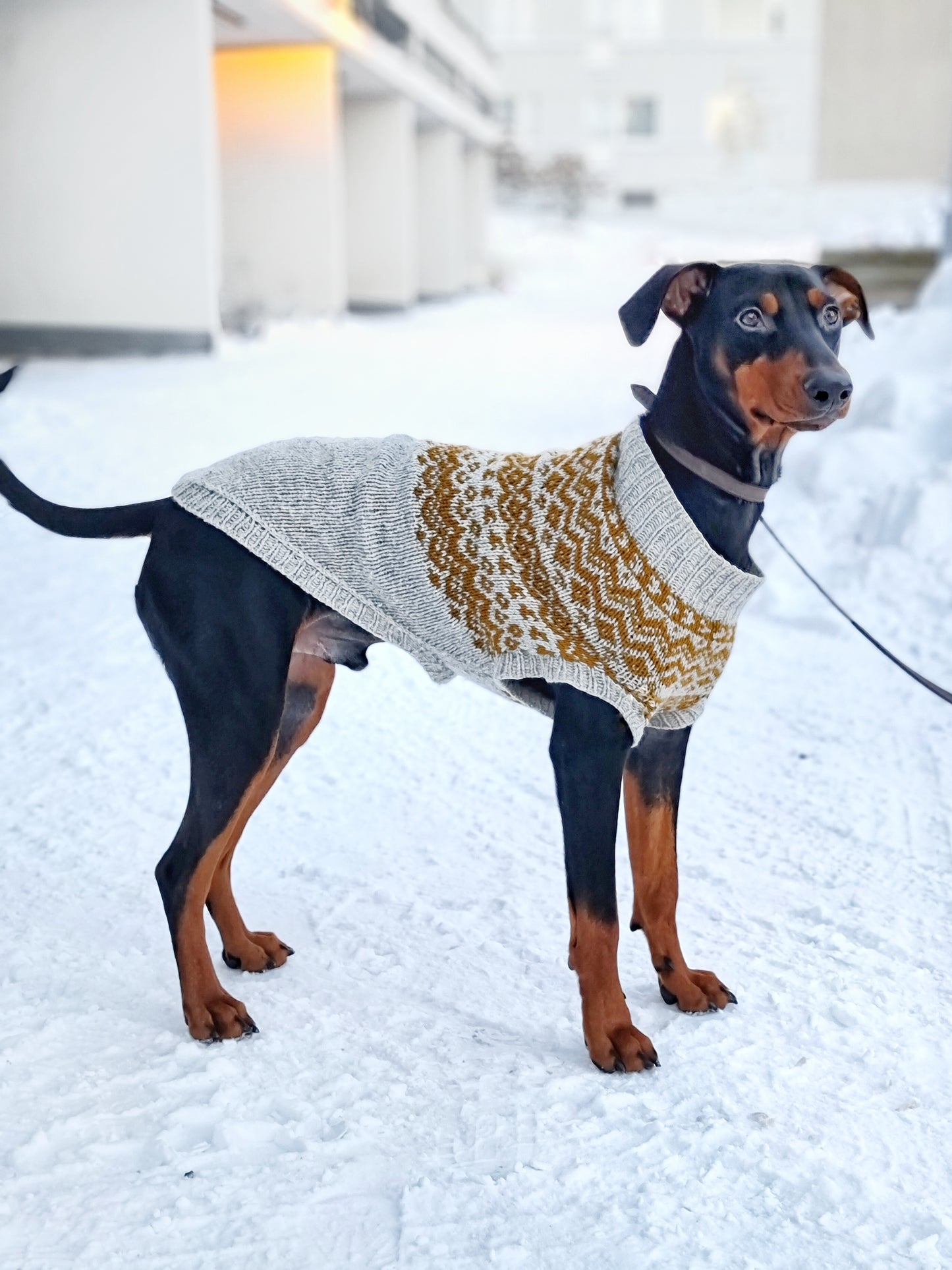 Vargö dog sweater