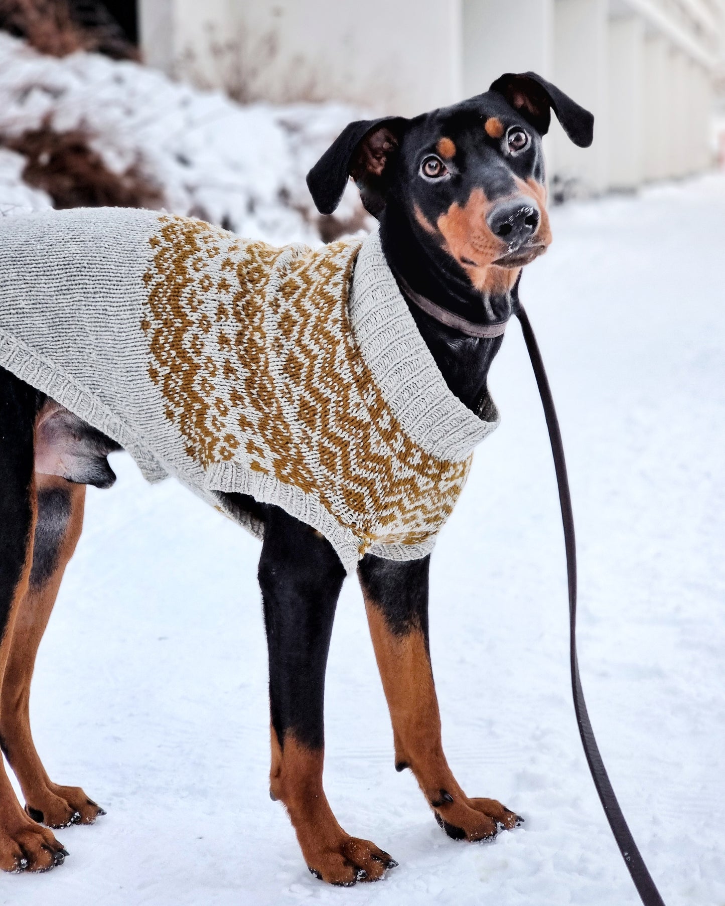 Vargö dog sweater