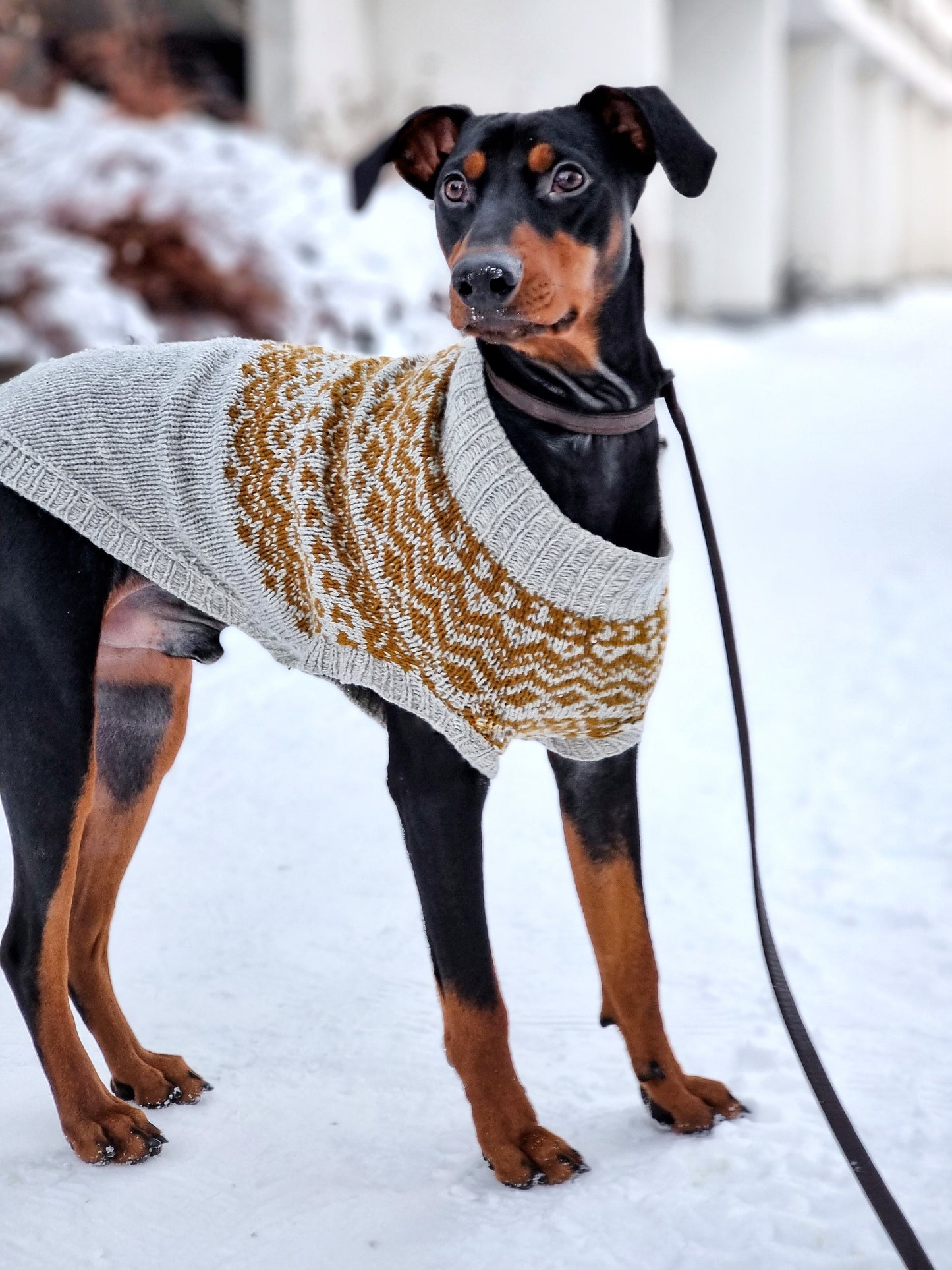 Vargö dog sweater