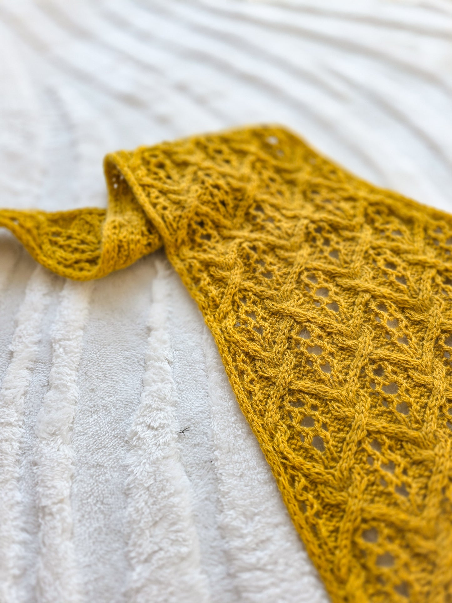 La Serenissima Shawl