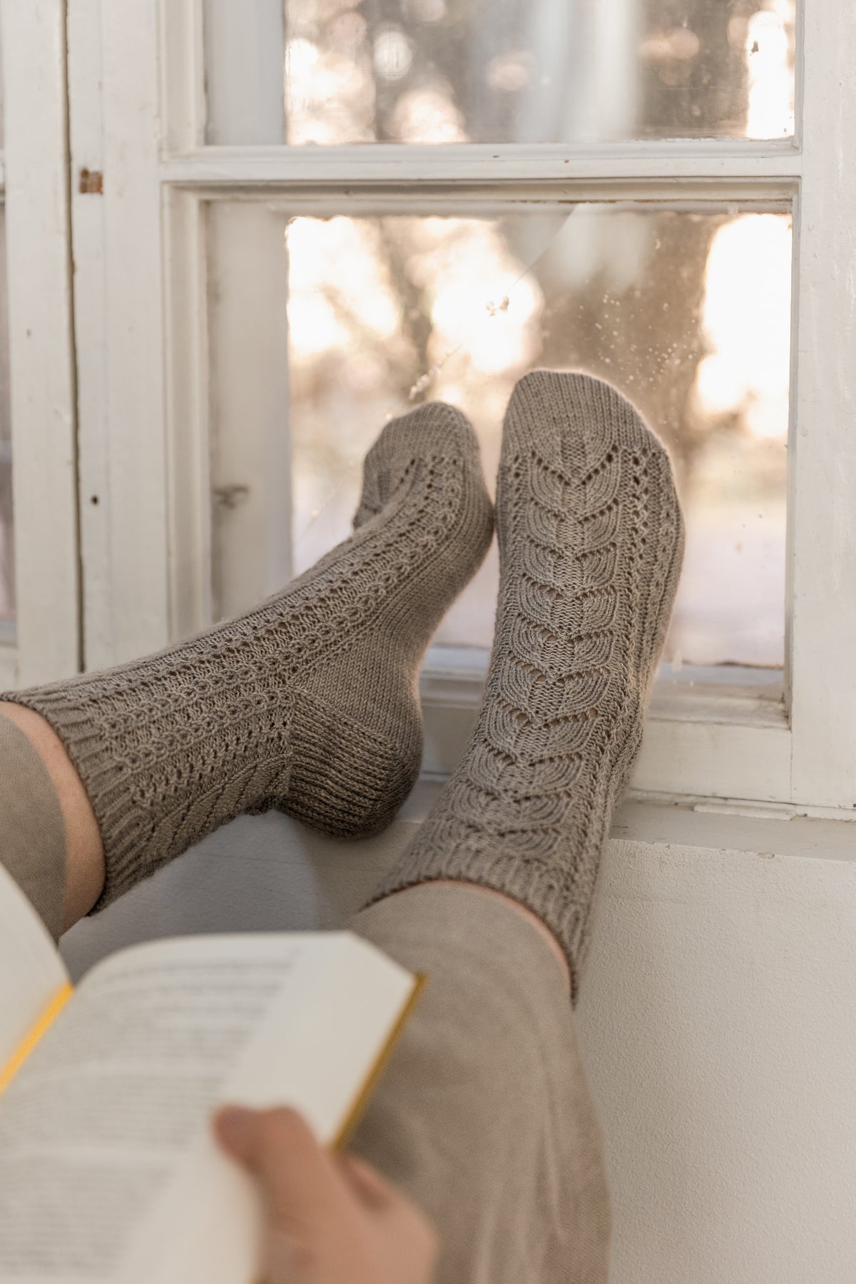 Quercus Socks