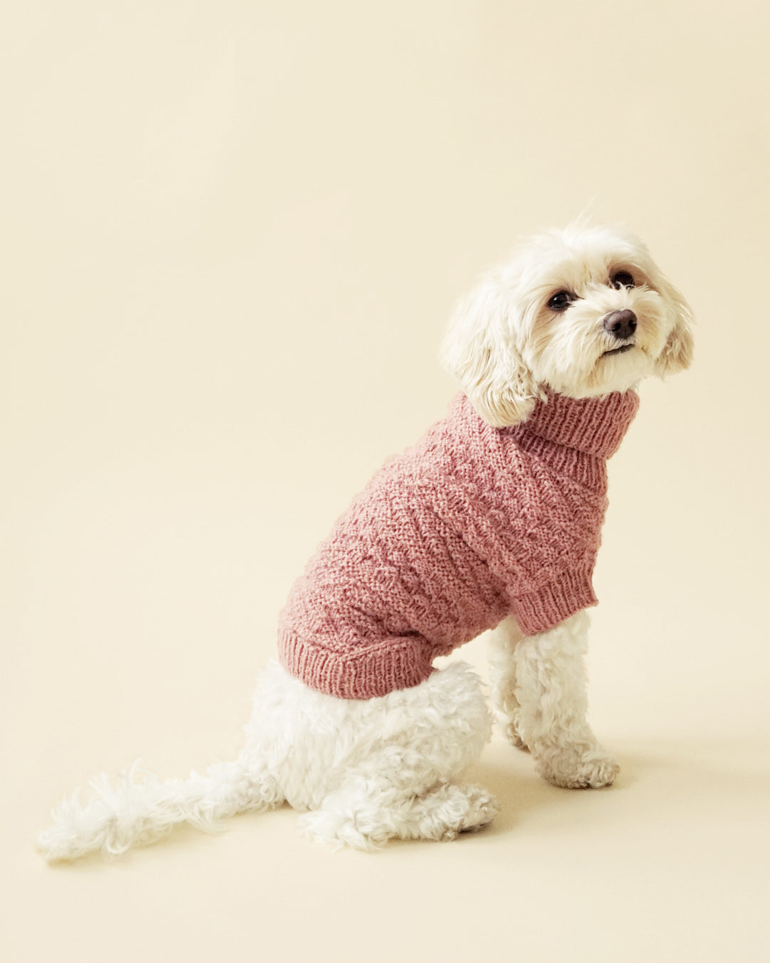 Alvar dog sweater